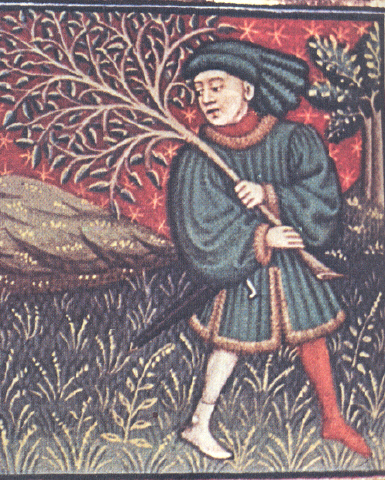 Taureau