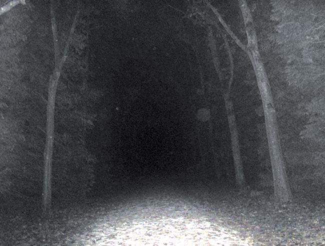 photo de nuit