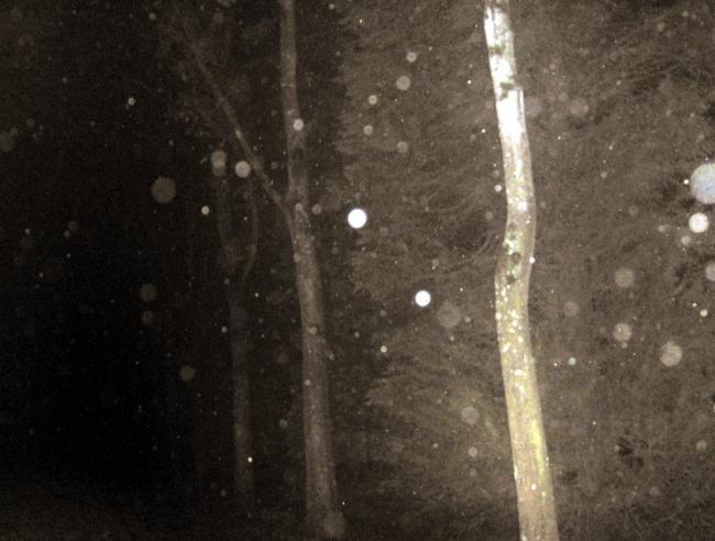 photo de nuit