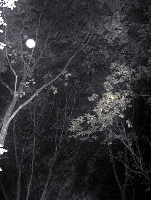 photo de nuit