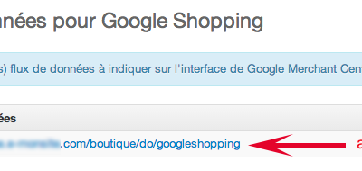 Adresse du flux de produit Google Shopping
