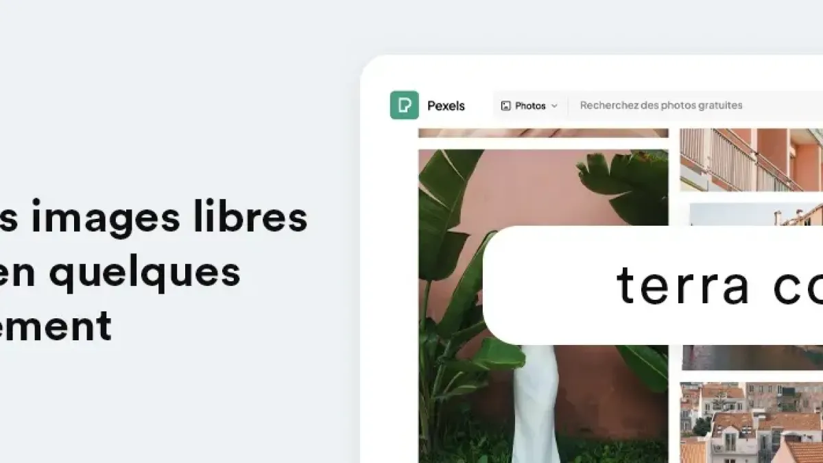 Intégrer des images de la banque d'images Pexels sur votre site