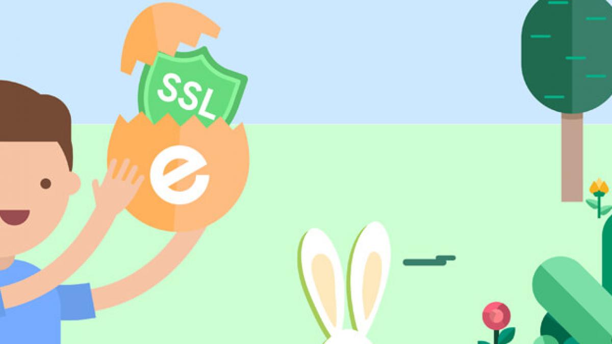 Le certificat SSL à prix réduit pour votre site web