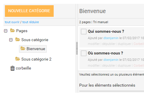 Classer les pages dans des categories 2