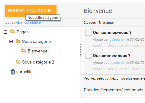 Classer les pages dans des categories 3