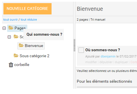 Classer les pages dans des categories 4