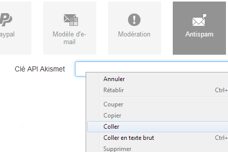 Enregistrez la clé Akismet dans votre manager