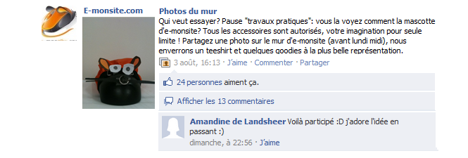 Concours Facebook : reproduire la mascotte e-monsite