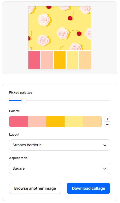 Coolors collage palette image