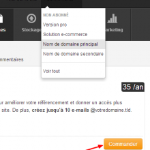icône Nom de domaine