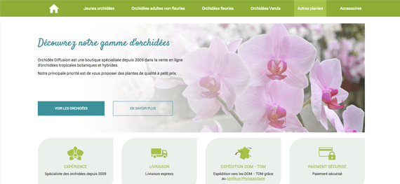 Orchidée diffusion