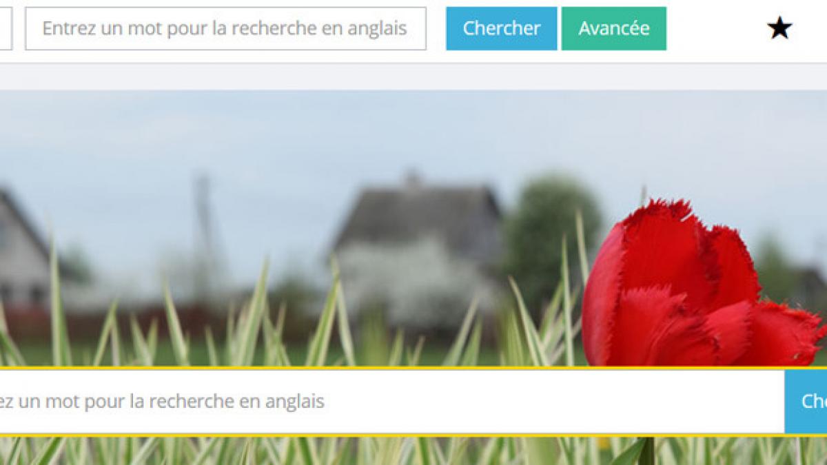 Photl : des belles images pour votre site web !