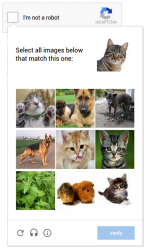 Recaptcha chat