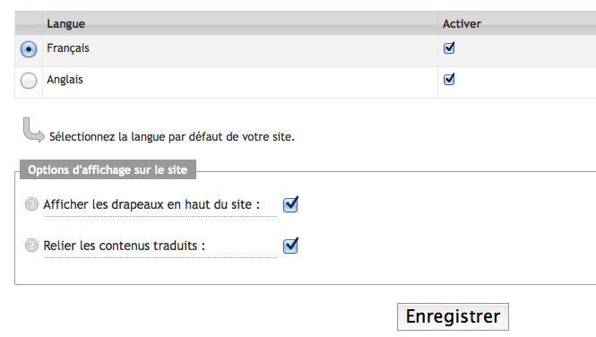 créer site multilingue : options