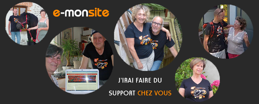 J'irai faire du support chez vous 2014