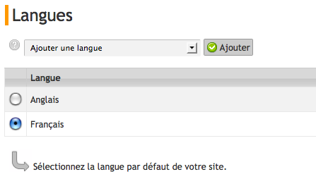 Choix des langues du site web