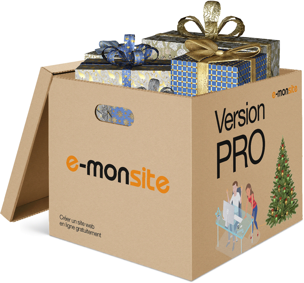 Version PRO en PROMO pour Noël