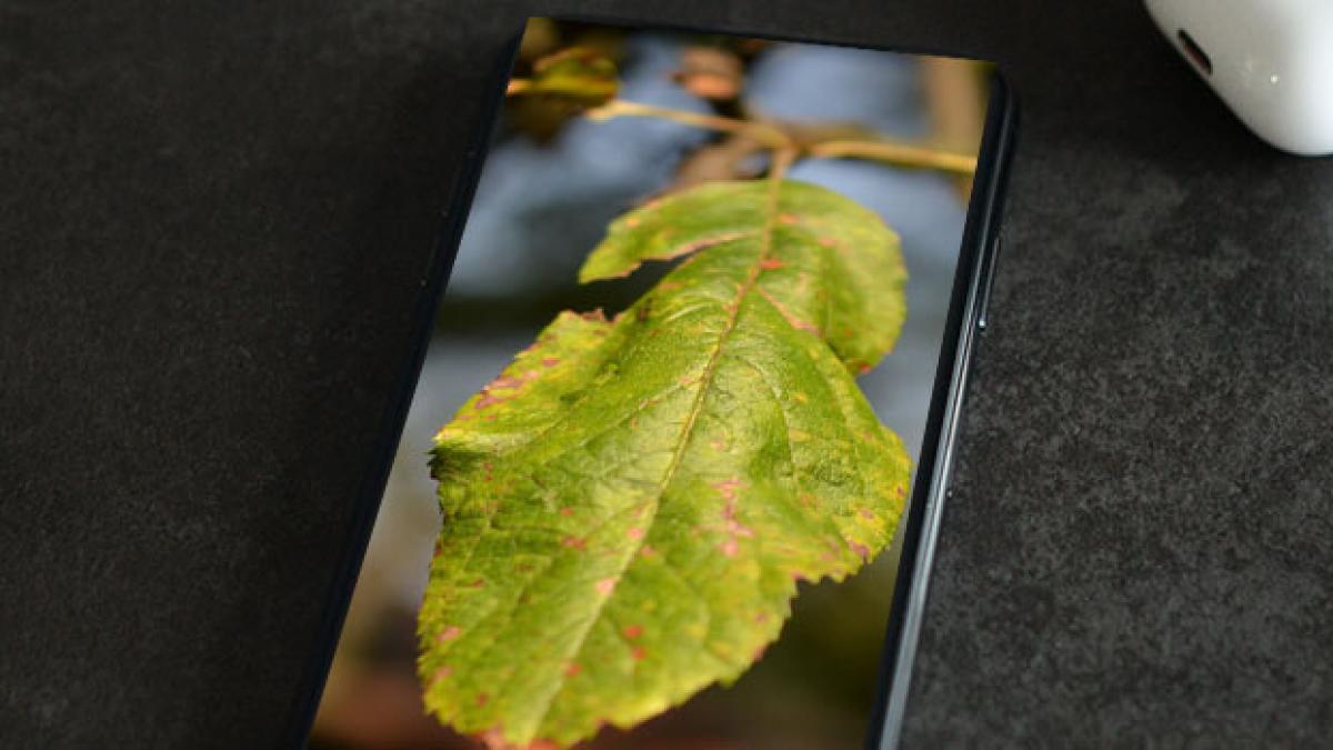 Partager ses photos Flickr sur son site web