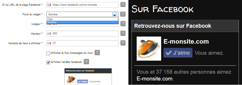 Widget Facebook flux de votre page