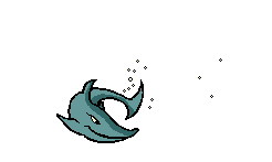 Mes requins