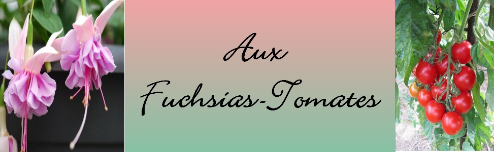 Aux Fuchsias-Tomates