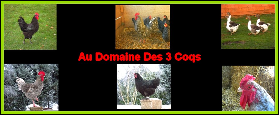 http://www.e-monsite.com/s/2011/03/21/audomainedes3coqs/96892360sans-titre-2-jpg.jpg